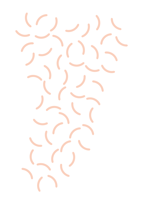 https://www.barquillass.com/wp-content/uploads/2021/02/floating_image_03-1.png